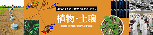 東京大学大学院 農学生命科学研究科様