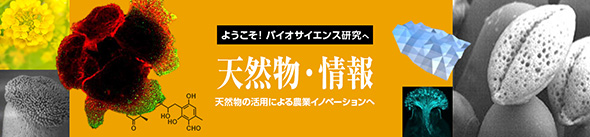 東京大学大学院 農学生命科学研究科様