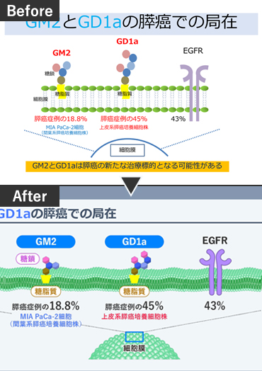 膵臓癌に関する発表のPPTブラッシュアップ